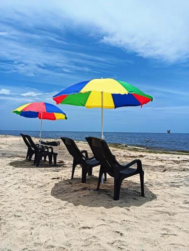 two chairs and an umbrella on the beach at Beach Clan Dorms in Alleppey