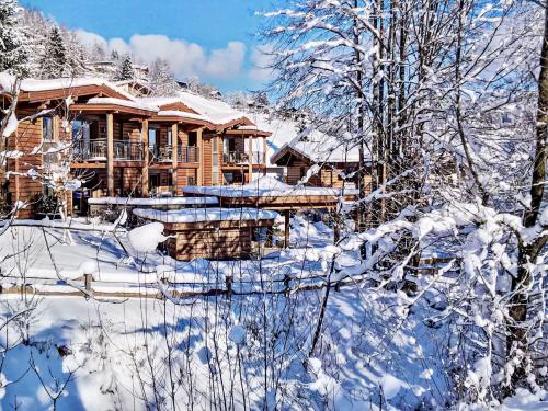 Apartment Resort Tirol Wildschönau 3 by Interhome