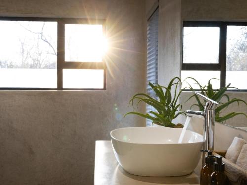 a bathroom with a bowl sink and a plant at Ntoma House in Hoedspruit
