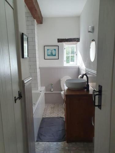 a bathroom with a sink and a tub and a toilet at River cottage Dartmoor in Holne