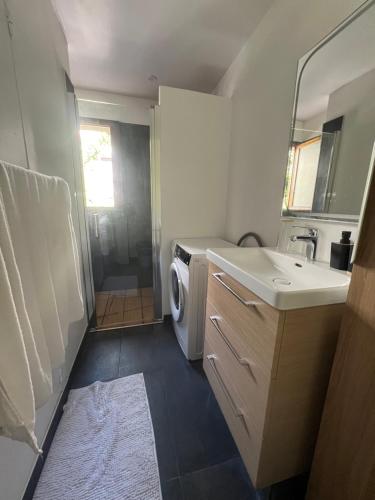 une salle de bain avec un lavabo et une machine à laver dans l'établissement Charmant Studio à 5 min du Lac, à Annecy