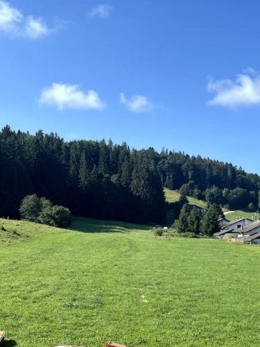 a field of green grass with trees in the background at Appartement cosy 1 chambre avec balcon enStation de ski in Les Fourgs