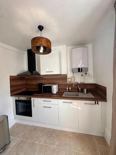 une cuisine avec un évier et un micro-ondes dans l'établissement Appartement La Dolce Vita T3 Hyper centre, à Orléans