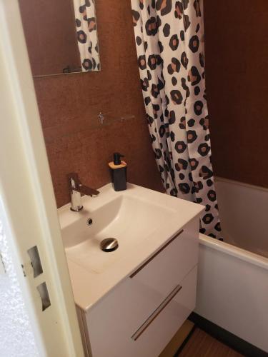 une salle de bain avec un lavabo et un rideau de douche dans l'établissement Studio douillet à Puy-Saint-Vincent, 16 m², vue sur la montagne., à Puy-Saint-Vincent