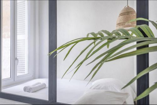 un miroir avec une plante à côté d'une fenêtre dans l'établissement 5CAP Cocon cosy pour 2 au catalan 5capdes, à Marseille