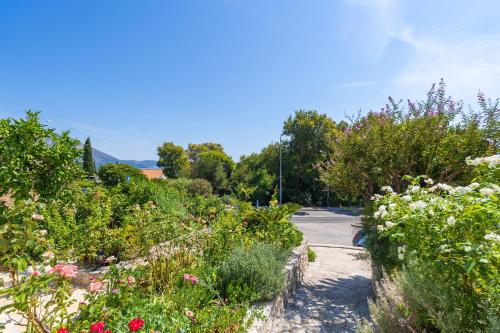 Apartments Djurkovic