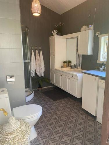 a bathroom with a toilet and a sink and a shower at Drømmested for idylliske dager in Skjoldastraumen