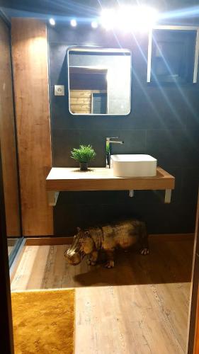 a bathroom with a pig under a sink at A Loffre Zen in Loffre