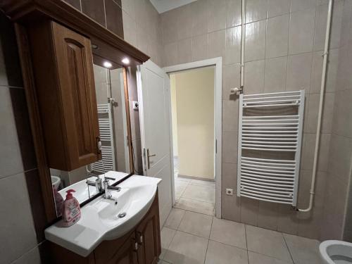 a bathroom with a sink and a shower at Centrum Apartman in Nyíregyháza
