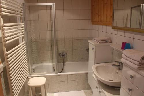 een badkamer met douche en wastafel bij Himmelbauer Apartments in Söbriach