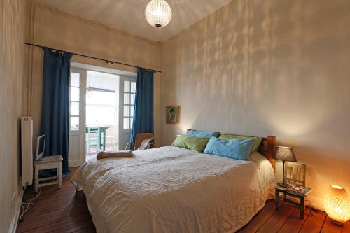 a bedroom with a large bed with blue pillows at Liegen;schaft Guesthouse in Oestrich-Winkel
