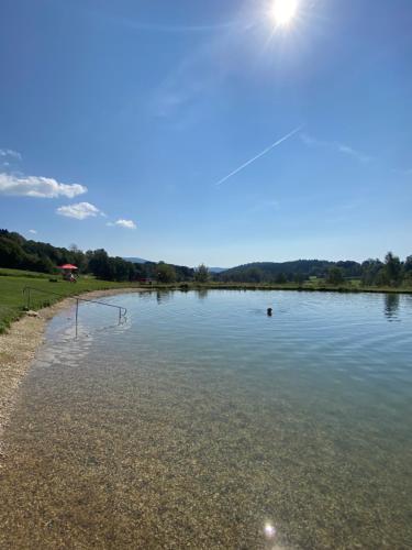 a view of a large body of water at Apartment JO in Bayerische Wald, Sankt Englmar in Sankt Englmar