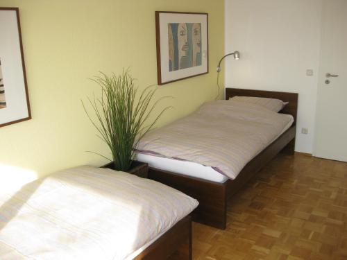 two beds in a room with a potted plant at Ferienwohnungen Familie Böckmann in Berlin