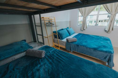 two beds in a room with blue sheets at kings Pine Residences Homestay kundasang Ranau 17 in Ranau