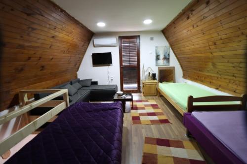 a room with a bed and a couch and a tv at Vikendica Dunav i SAVA in Donji Milanovac