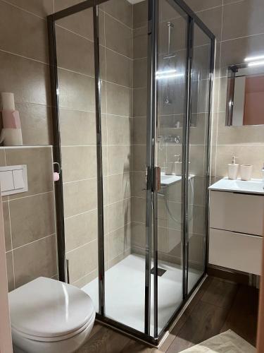 une salle de bain avec une douche avec des toilettes et un lavabo dans l'établissement Location Studio avec Jardin en Hameau II, à Gréolières