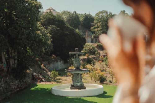 Giardino di Collares Sintra Petit Palais
