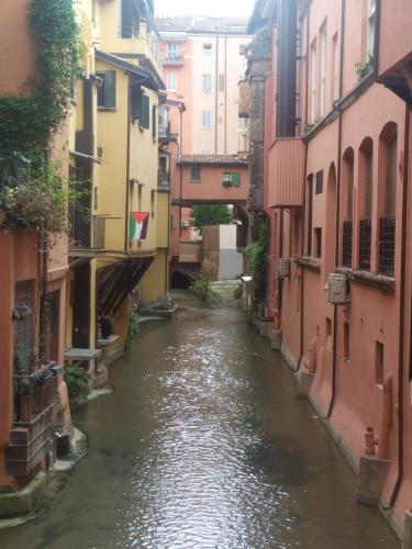 Nabolaget omkring lejligheden eller i nærheden