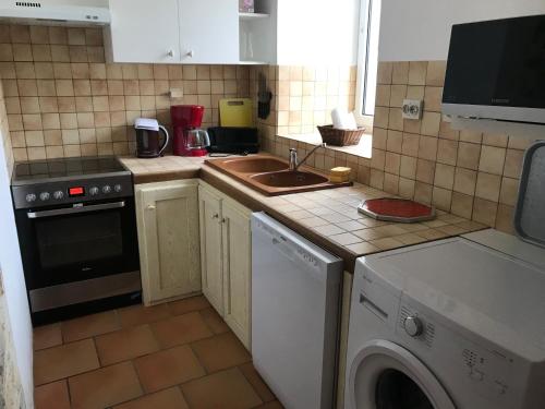 une cuisine avec une machine à laver et un évier dans l'établissement gite petit ecotay, à Saint-Symphorien