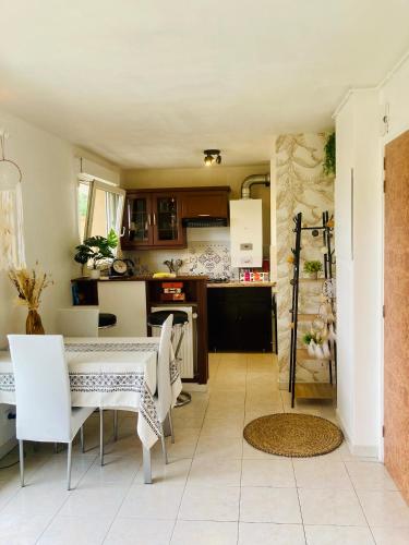une cuisine et une salle à manger avec une table et des chaises dans l'établissement Joli studio avec grande terrasse et parking, à Vitry-sur-Seine