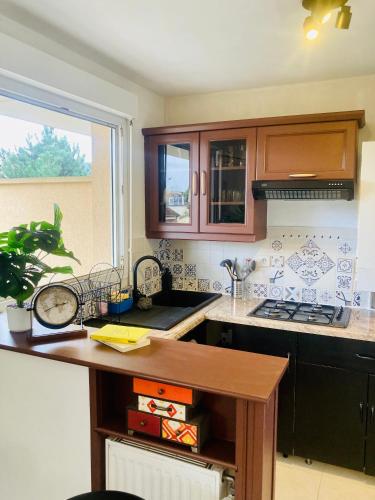 une cuisine avec des armoires en bois et un comptoir dans l'établissement Joli studio avec grande terrasse et parking, à Vitry-sur-Seine