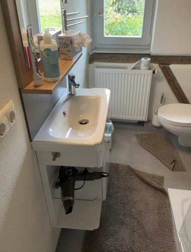 a bathroom with a sink and a toilet at Seminar-& Gästehaus Sissy Baumann in Nagel