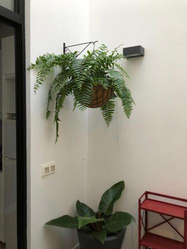 Apartamentos Los Dragos - Planta 2