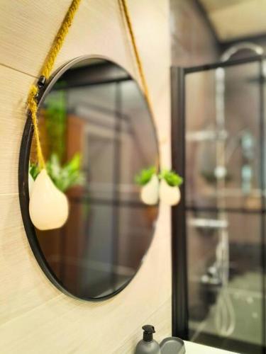 a mirror hanging on a wall with a plant at L'abri côtier in Port-Louis