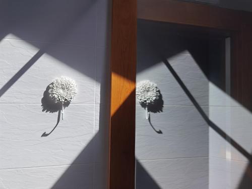 a reflection of two dandelions on a wall at Hotel Eigón in Posada de Valdeón
