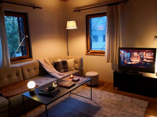Ski Cottage في Semič: غرفة معيشة مع أريكة وتلفزيون