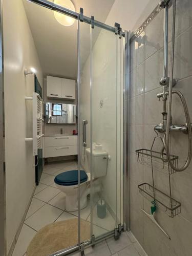 une salle de bain avec toilettes et douche en verre dans l'établissement Joli studio centre-ville, à Loriol-sur-Drôme