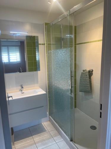 une salle de bain avec une douche en verre et un lavabo dans l'établissement Yoyo's appart, à Perpignan