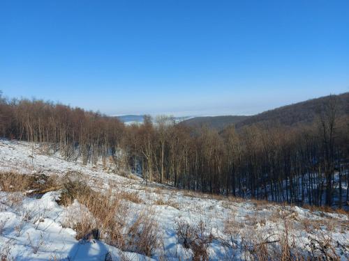 a snow covered field with trees on a hill at Wenckheim Vadászház in Nagyoroszi