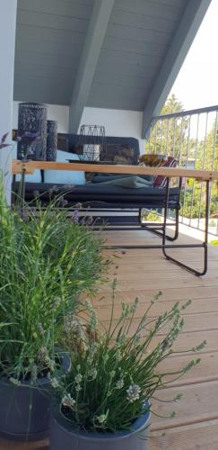 a bench sitting on a porch with potted plants at Ferienhof Elbauenblick in Radebeul