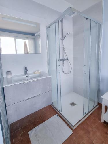 une salle de bain avec douche et lavabo dans l'établissement La Lézardière, au Lavandou
