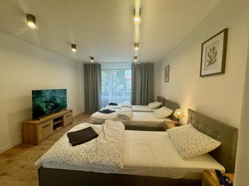 Postel nebo postele na pokoji v ubytování Apartmán Strážske s balkónom
