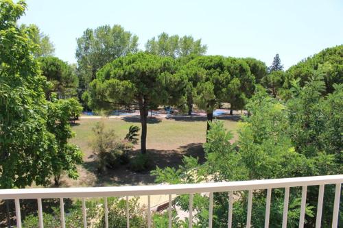 Κήπος έξω από το Stella di Mare - Cà Savio