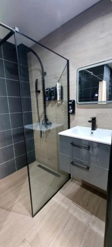 a bathroom with a shower and a sink and a mirror at Logement indépendant proche toutes commodités in Avae