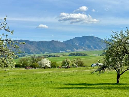 a green field with a tree and mountains in the background at Apartmán Ranč in Martin