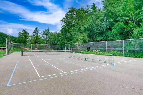 a tennis court with two tennis rackets on it at Hawley Home with Deck and Mtn Views Swim, Ski and More! in Hawley