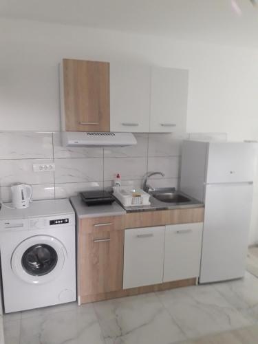 a kitchen with a sink and a washing machine at VilaNatalija APARTMANI in Apatin