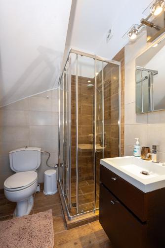 a bathroom with a shower and a toilet and a sink at Villa Costa Luca in Vouliagmeni in Athens