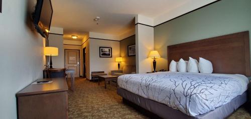 Postel nebo postele na pokoji v ubytování Best Western Plus Emory at Lake Fork Inn & Suites