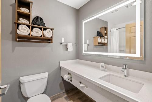 a bathroom with a sink and a mirror and a toilet at Holiday Inn Express Hotel & Suites - Paso Robles by IHG in Paso Robles