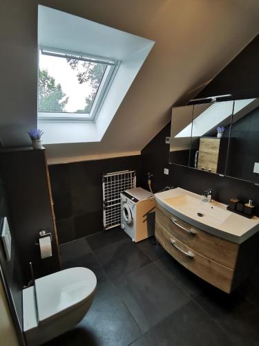 a bathroom with a toilet and a sink and a skylight at Ferienwohnung Zur Hohle in Niederreichenbach