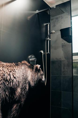 Koupelna v ubytování Ferienappartement im Thüringer Wald