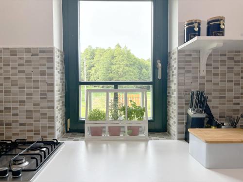 a kitchen with a stove and a window with plants at Kosbor Panzió in Magyarszombatfa