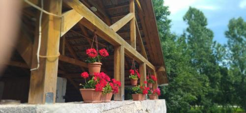 a group of potted flowers on a porch at KOÓS VENDÉGHÁZ in Uppony