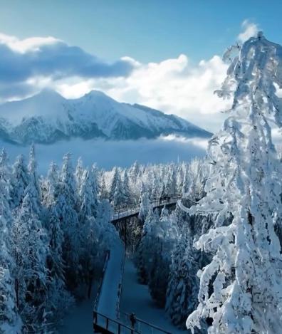 a bridge over a lake with snow covered trees at WELLNESS Chalet OXY in Ždiar