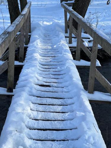 a snow covered stairway leading to a bridge at WELLNESS Chalet OXY in Ždiar